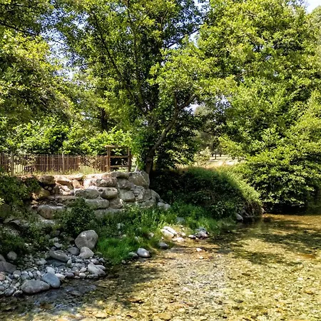 Domaine De Bracciole コルテ