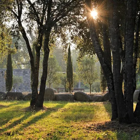 Domaine De Bracciole