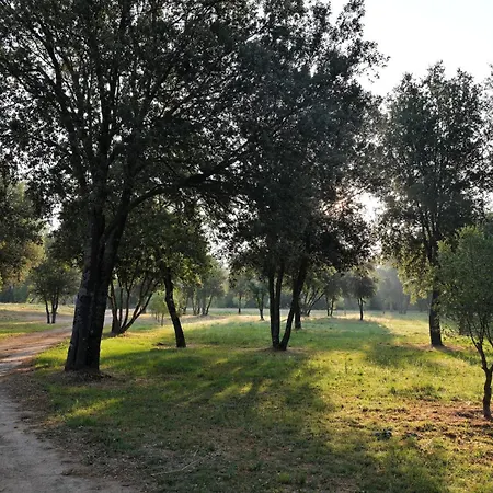 Domaine De Bracciole 別荘