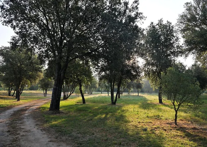Domaine De Bracciole Casa vacanze