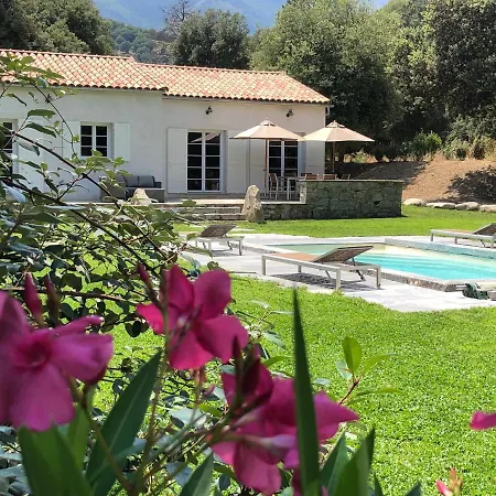 Domaine De Bracciole Ferienhaus *