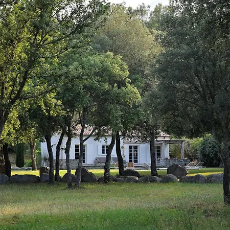 Domaine De Bracciole Corte