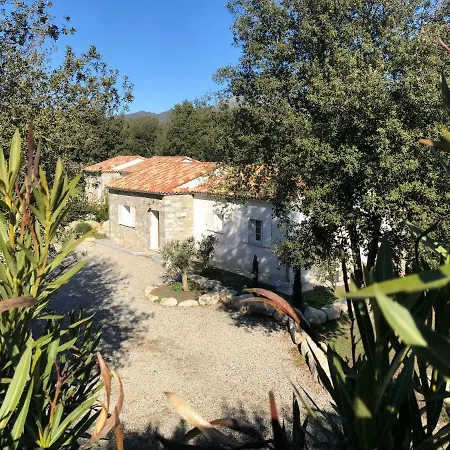 Ferienhaus Domaine De Bracciole Corte (Corsica)
