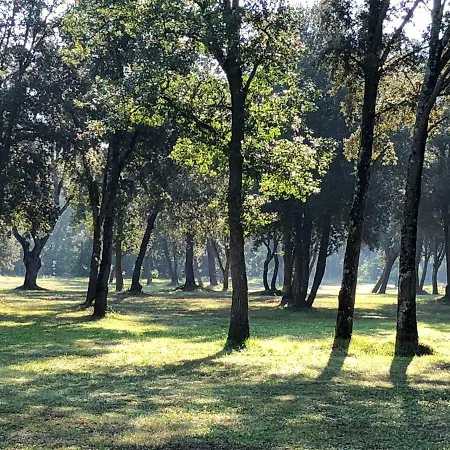 Ferienhaus Domaine De Bracciole *