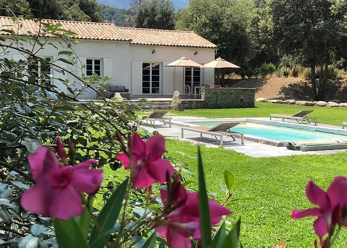 Domaine De Bracciole Hébergement de vacances *