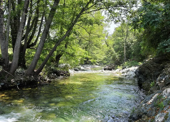 Hébergement de vacances Domaine De Bracciole *