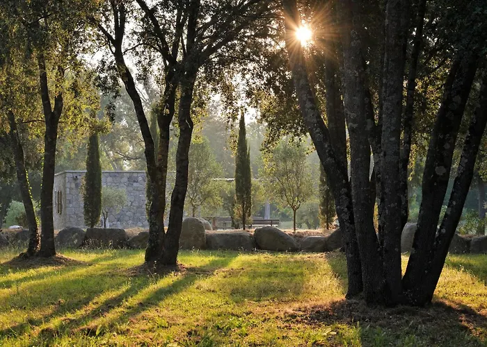 Domaine De Bracciole