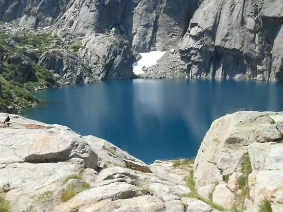 Domaine De Bracciole * Corte (Corsica)