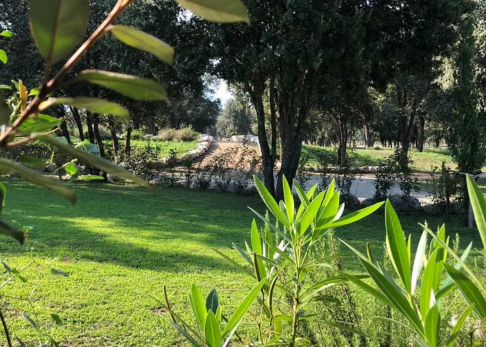 Hébergement de vacances Domaine De Bracciole *