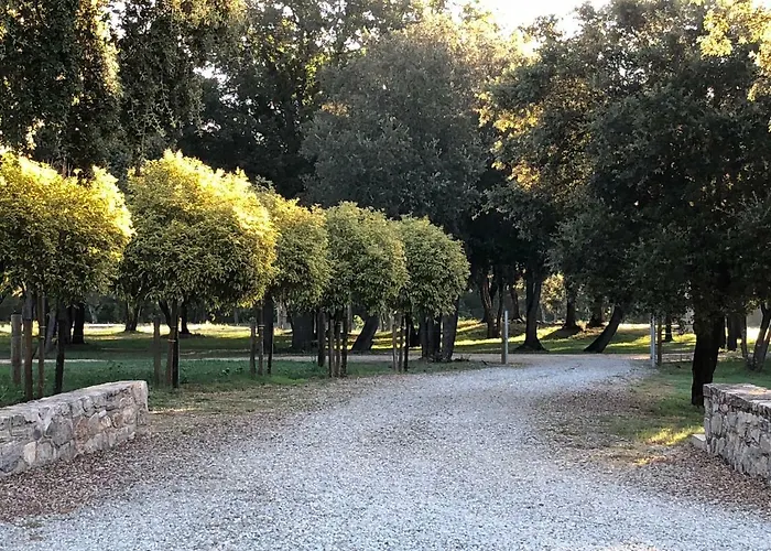 Domaine De Bracciole