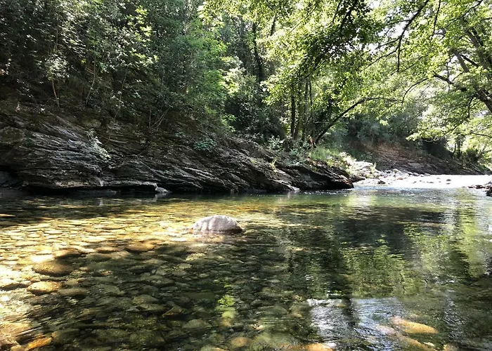 Hébergement de vacances Domaine De Bracciole